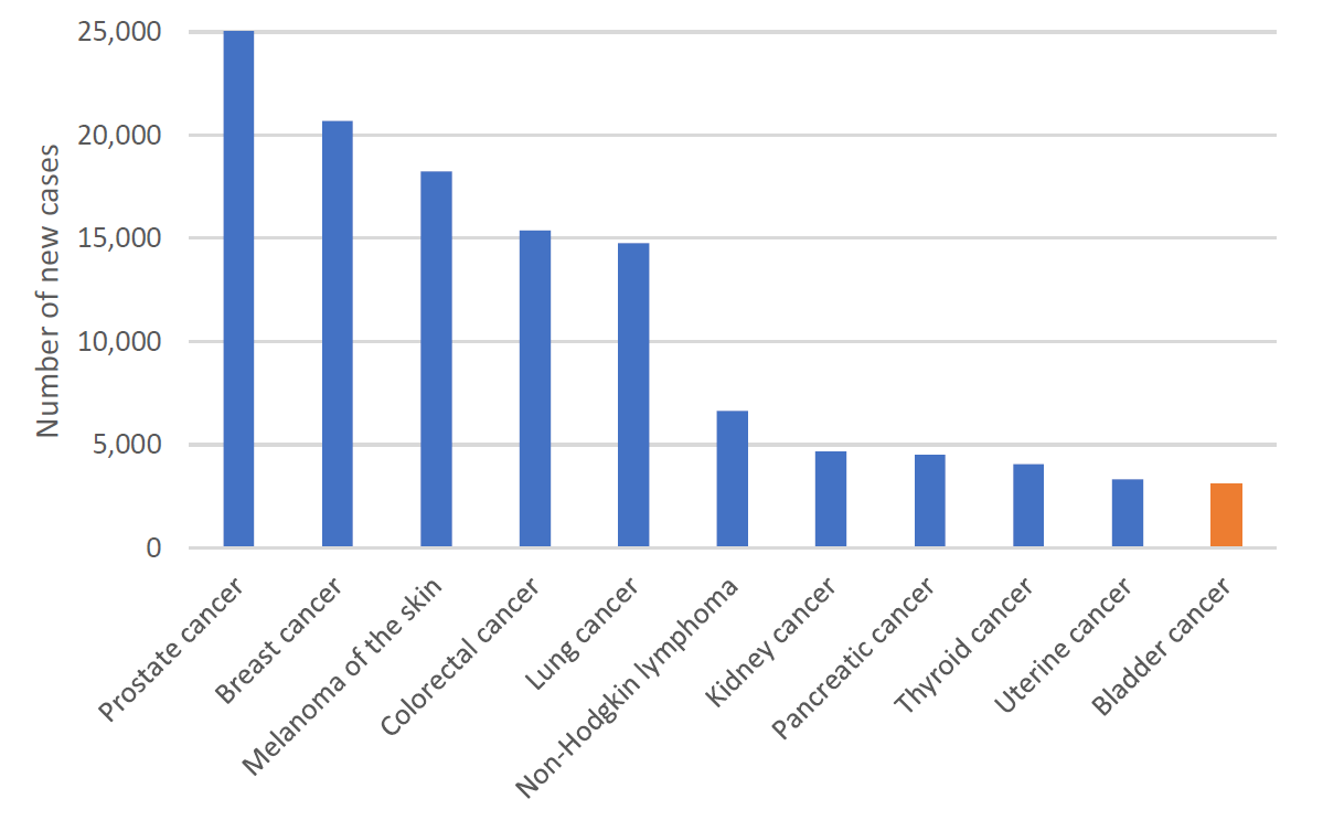 Figure 1. Estimated cancer incidence in Australia, 2023