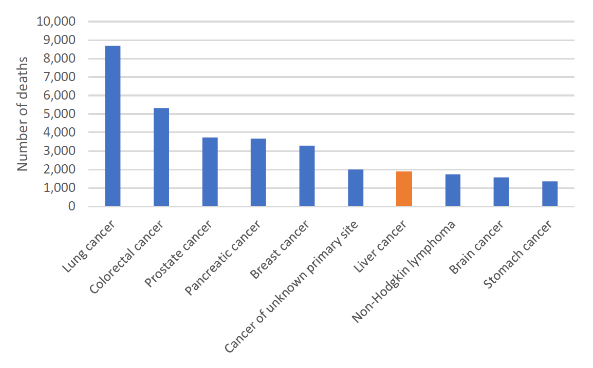 Figure 3. Estimated cancer mortality in Australia, 2023