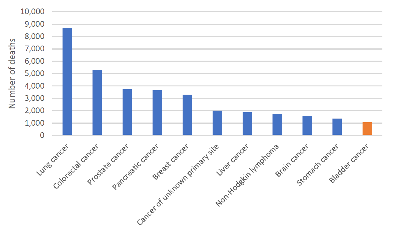 Figure 3. Estimated cancer mortality in Australia, 2023