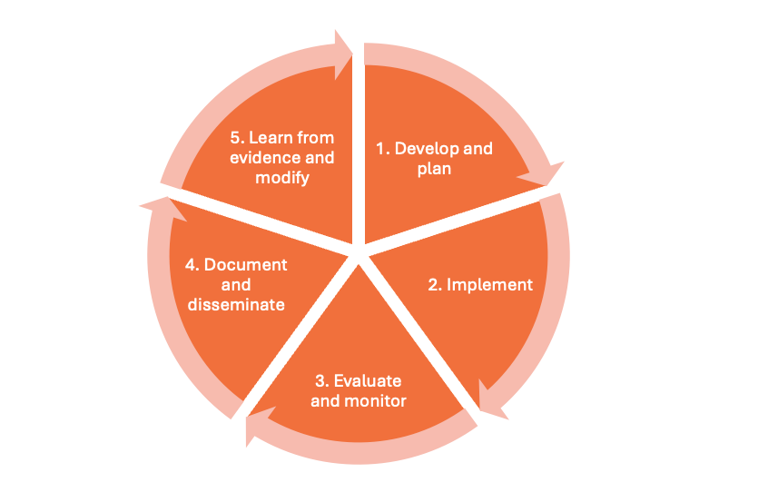 Diagram showing the 5 stages of evaluation:  1. Develop and plan 2. Implement 3. Evaluate and monitor 4. Document and disseminate 5. Learn from evidence and modify