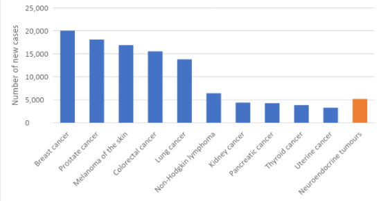 Neuroendocrine tumours statistics | Cancer Australia