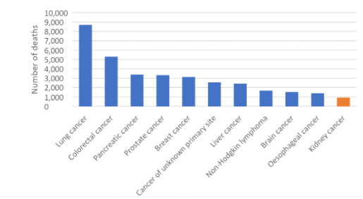 Figure 3. Estimated cancer mortality in Australia, 2022