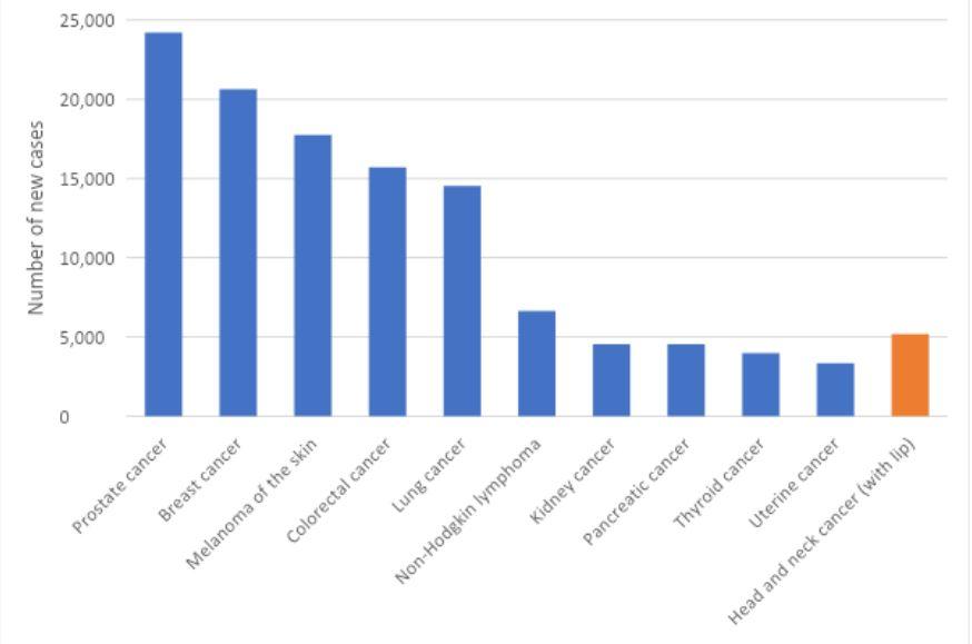 Figure 1. Estimated cancer incidence in Australia, 2022