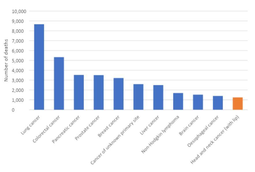 Figure 3. Estimated cancer mortality in Australia, 2022