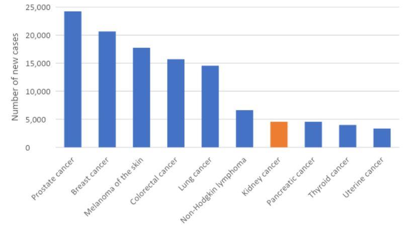 Figure 1. Estimated cancer incidence in Australia, 2022