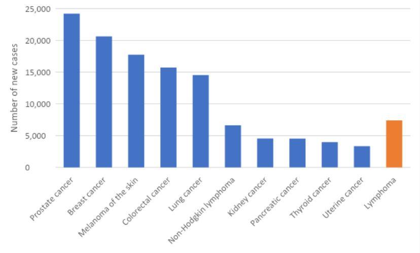 Figure 1. Estimated cancer incidence in Australia, 2022