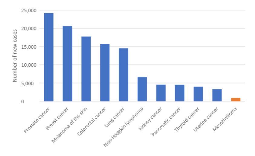 Figure 1. Estimated cancer incidence in Australia, 2022