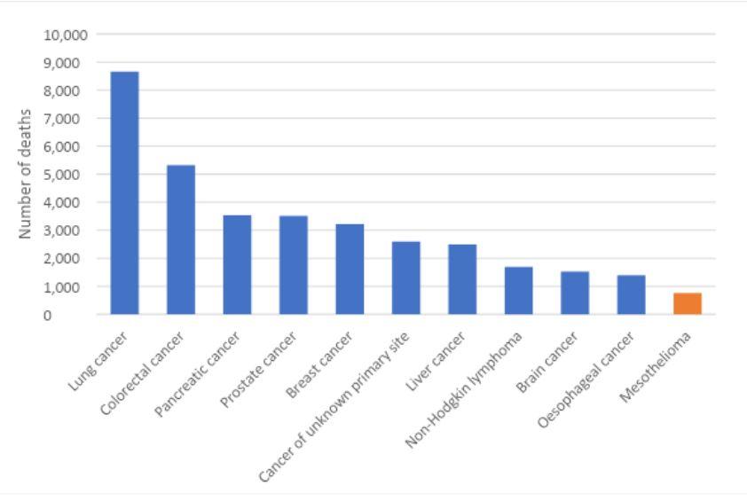 Figure 3. Estimated cancer mortality in Australia, 2022