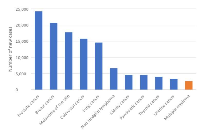 Figure 1. Estimated cancer incidence in Australia, 2022