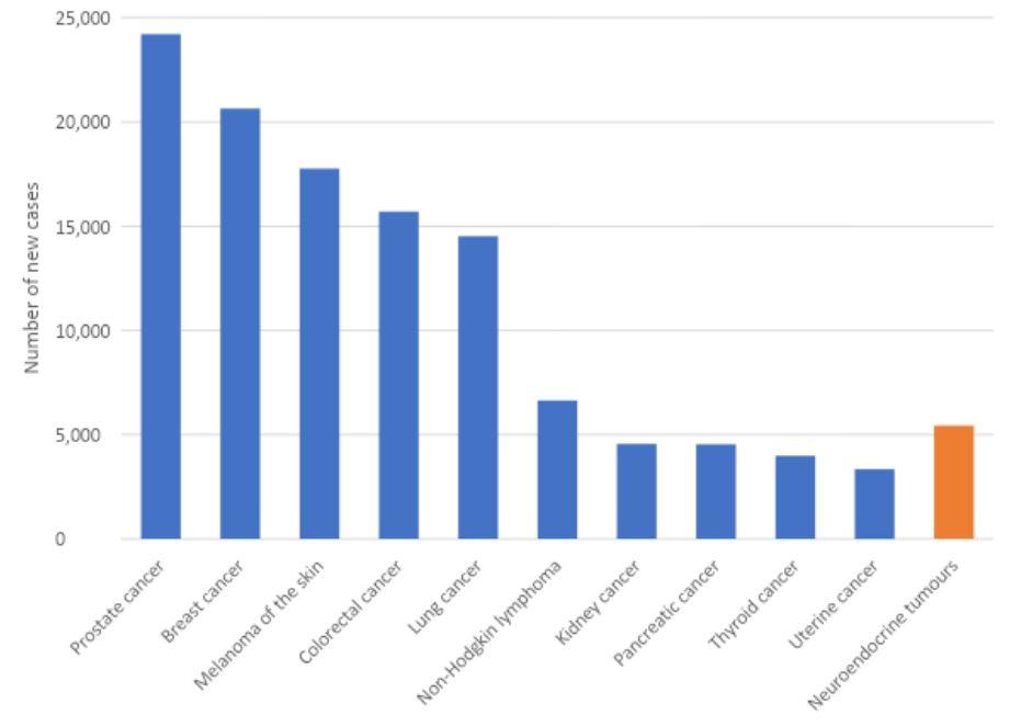 Figure 1. Estimated cancer incidence in Australia, 2022