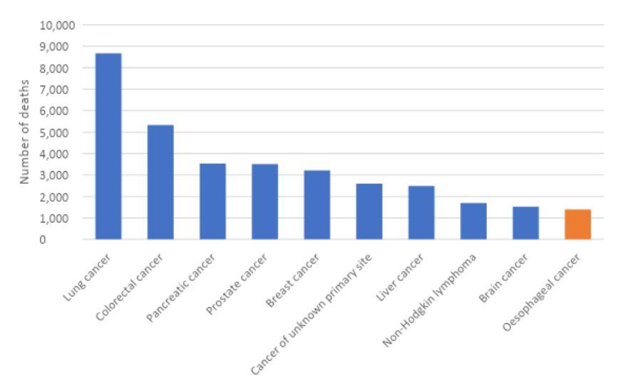 Figure 3. Estimated cancer mortality in Australia, 2022