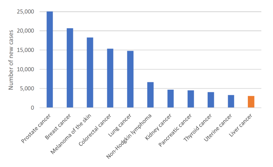 Figure 1. Estimated cancer incidence in Australia, 2023