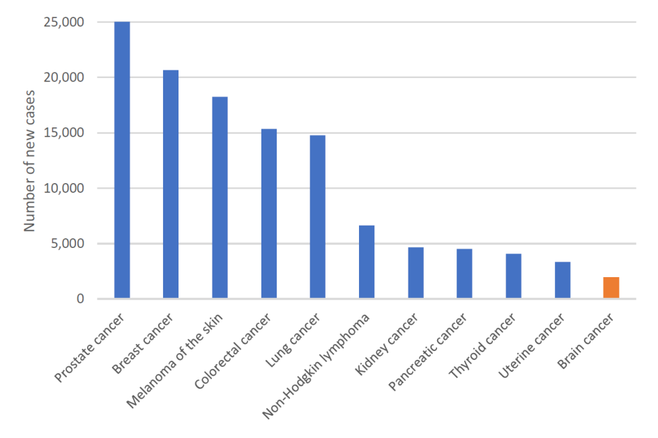 Figure 1. Estimated cancer incidence in Australia, 2023