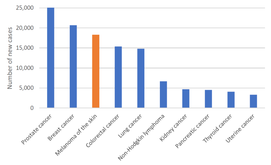 Figure 1. Estimated cancer incidence in Australia, 2023