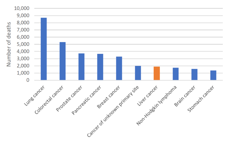 Figure 3. Estimated cancer mortality in Australia, 2023