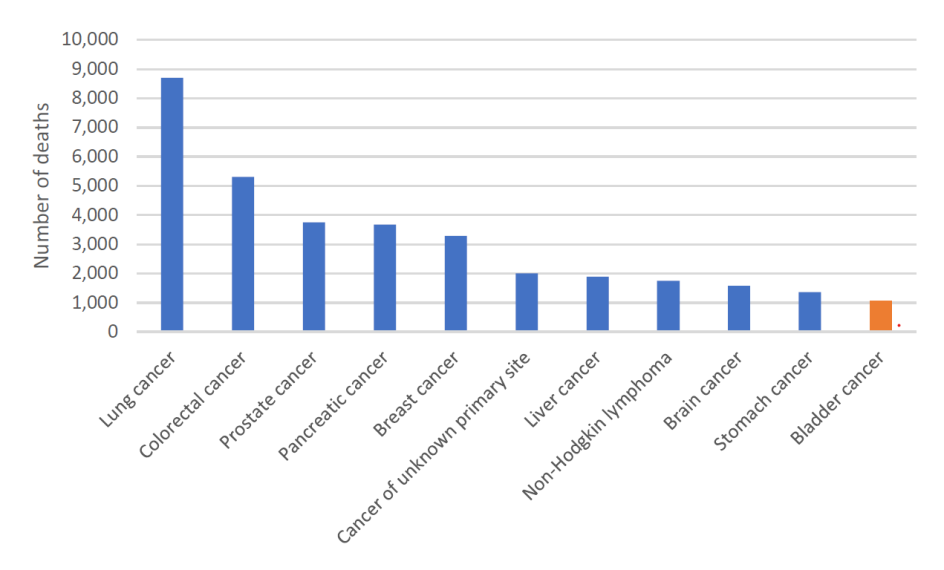 Figure 3. Estimated cancer mortality in Australia, 2023