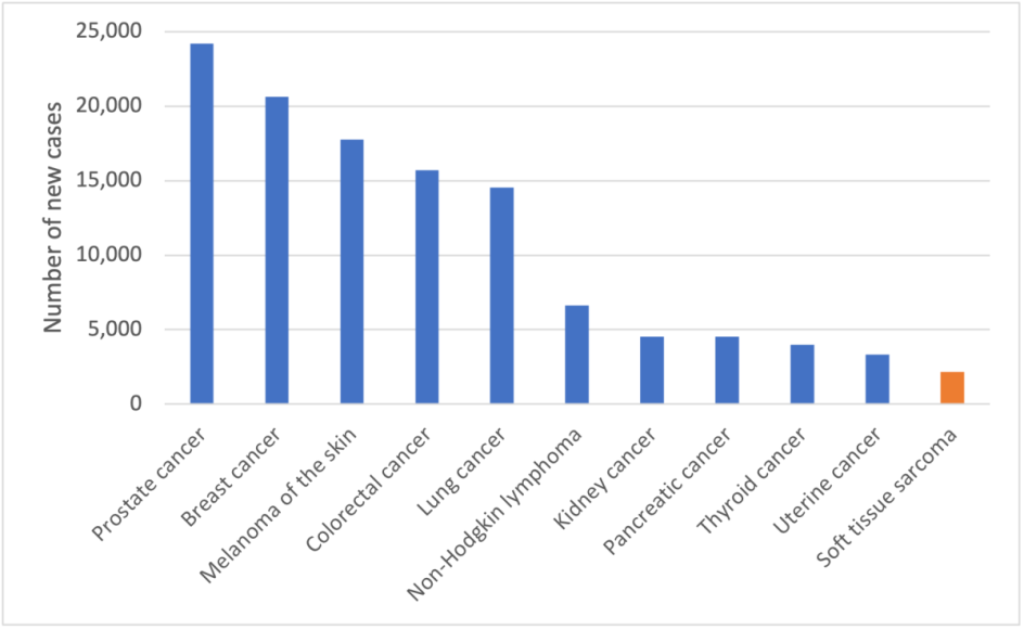 Figure 1. Estimated cancer incidence in Australia, 2022