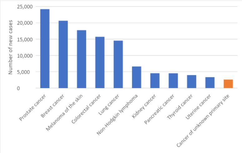 Figure 1. Estimated cancer incidence in Australia, 2022