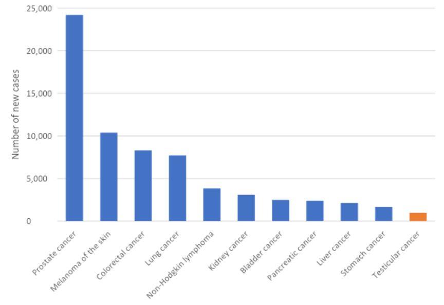 Figure 1. Estimated cancer incidence in Australia among males, 2022