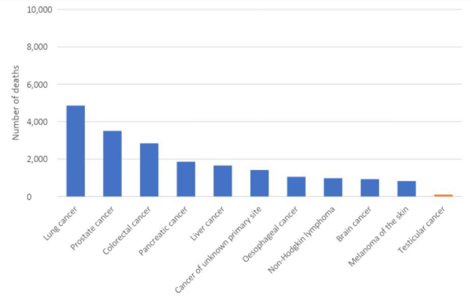 Figure 3. Estimated cancer mortality in Australia among males, 2022