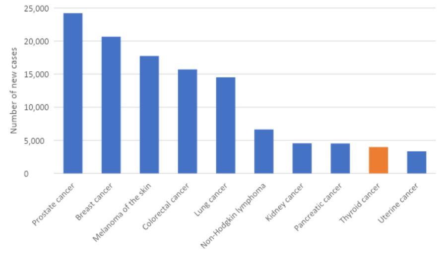 Figure 1. Estimated cancer incidence in Australia, 2022