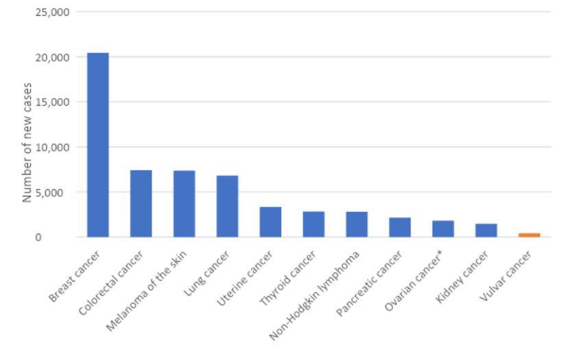 Figure 1. Estimated cancer incidence in Australia among females, 2022