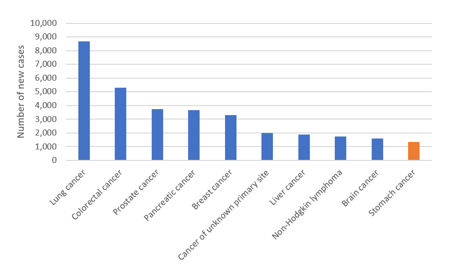 Figure 3. Estimated cancer mortality in Australia, 2023