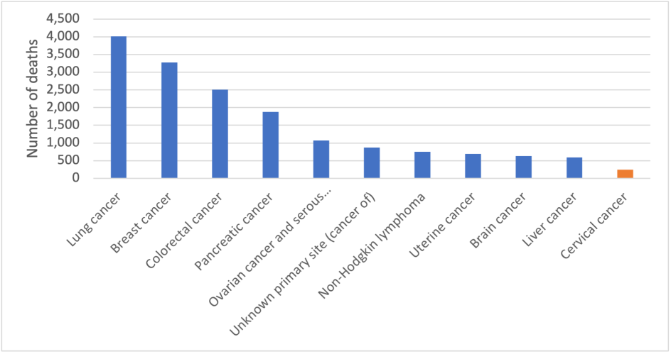 Figure 3. Estimated cancer mortality in Australia among females, 2024