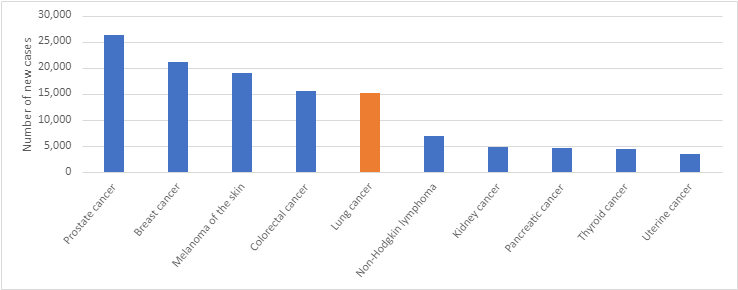 Figure 1. Estimated cancer incidence in Australia, 2024 